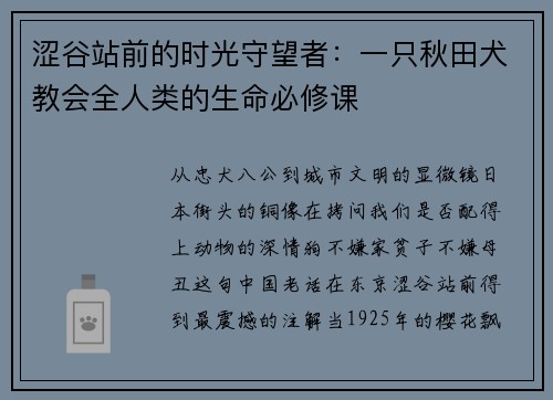 涩谷站前的时光守望者：一只秋田犬教会全人类的生命必修课